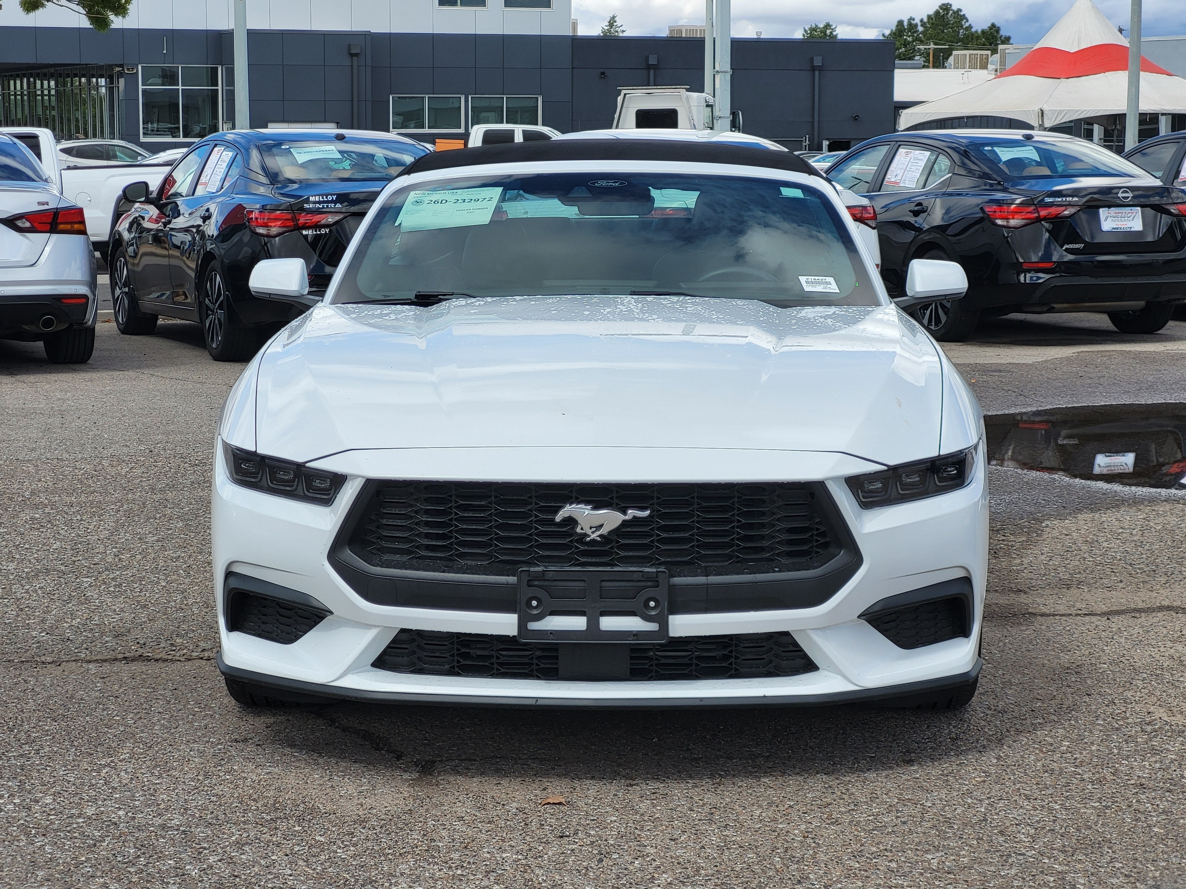 2025 Ford Mustang EcoBoost