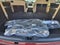 2026 Nissan Armada 4x4 Platinum Reserve